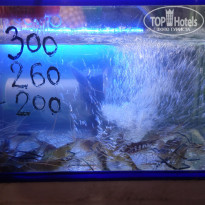 фото из отзыва ID 1646607