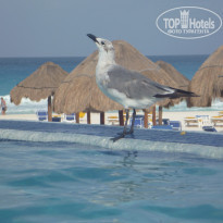 фото из отзыва ID 1641391