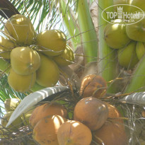 фото из отзыва ID 1641391