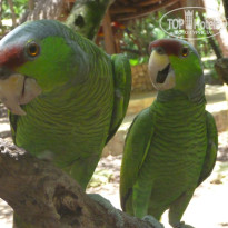 фото из отзыва ID 1641391