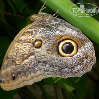 фото из отзыва ID 1641391