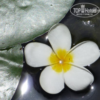 фото из отзыва ID 1641391