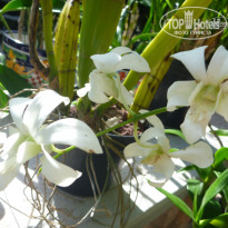 фото из отзыва ID 1641391