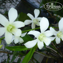 фото из отзыва ID 1641391