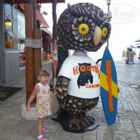 фото из отзыва ID 1641391