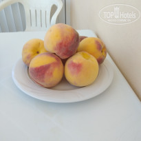 фото из отзыва ID 1641466