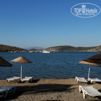 фото из отзыва ID 1647160