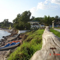 фото из отзыва ID 165002