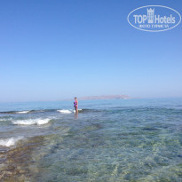 фото из отзыва ID 1650067