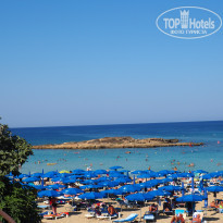 фото из отзыва ID 1650290