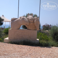 фото из отзыва ID 1650290