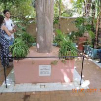 фото из отзыва ID 1650368