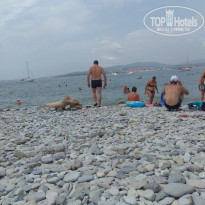 фото из отзыва ID 1650383