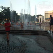 фото из отзыва ID 1650383