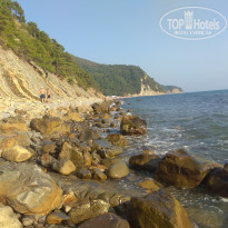 фото из отзыва ID 1650383