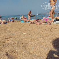 фото из отзыва ID 1650383