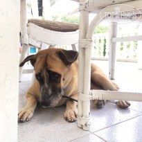 фото из отзыва ID 1650446