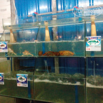 фото из отзыва ID 1650525