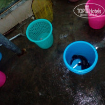 фото из отзыва ID 1650525