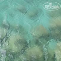 фото из отзыва ID 1650812