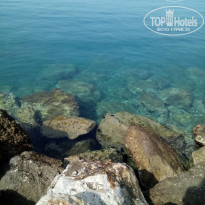 фото из отзыва ID 1650812