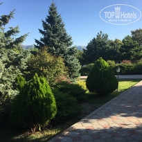 фото из отзыва ID 1650846