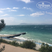 фото из отзыва ID 1650846