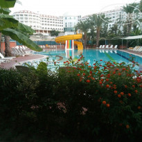 фото из отзыва ID 1650888