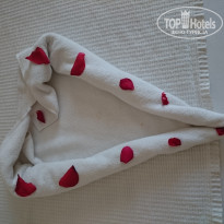 фото из отзыва ID 1650828