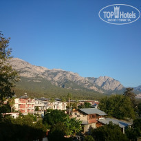 фото из отзыва ID 1650828