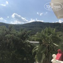 фото из отзыва ID 1651056