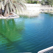 фото из отзыва ID 1651133