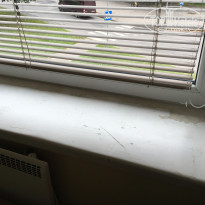 фото из отзыва ID 1651160