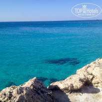 фото из отзыва ID 1651278