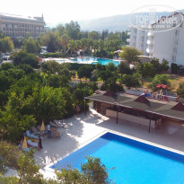 фото из отзыва ID 1651313