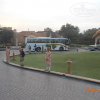 фото из отзыва ID 1651464