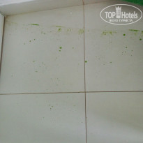 фото из отзыва ID 1651496