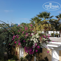 фото из отзыва ID 1651557