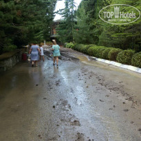 фото из отзыва ID 1651752