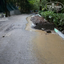 фото из отзыва ID 1651752