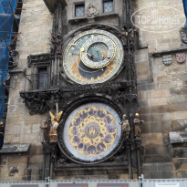 фото из отзыва ID 1651800