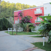 фото из отзыва ID 1651893