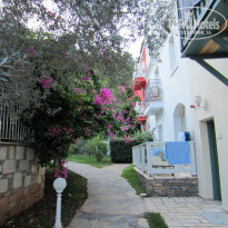 фото из отзыва ID 1651893