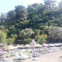 фото из отзыва ID 1651893