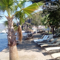 фото из отзыва ID 1651893