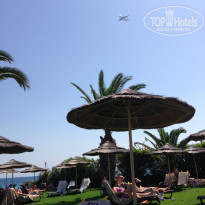 фото из отзыва ID 1652021