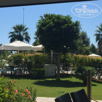 фото из отзыва ID 1652020