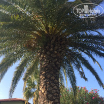 фото из отзыва ID 1652020