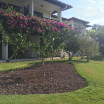 фото из отзыва ID 1652020