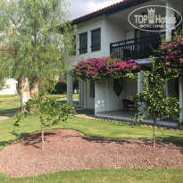 фото из отзыва ID 1652020